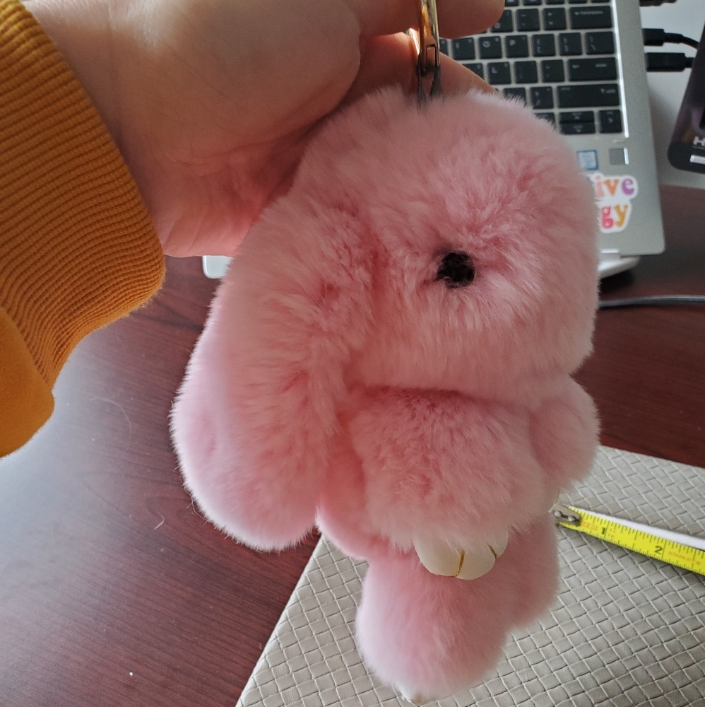 Hidden Bunny